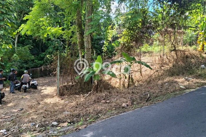 Tanah Disewa di Kaba kaba Strategis dan Memiliki Luas 800m2 Tanah Disewa di Kaba kaba Strategis dan Memiliki Luas 800m2