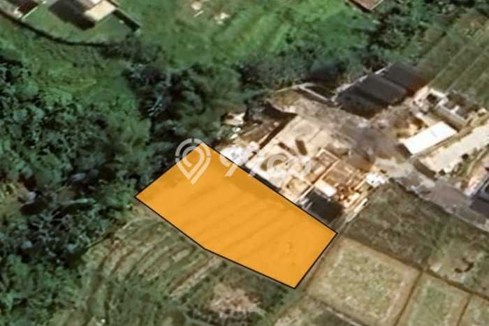 Disewakan Tanah di Badung, Luas 600m2 Area Berkembang Disewakan Tanah di Badung, Luas 600m2 Area Berkembang
