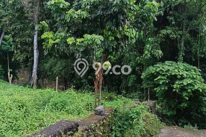 Dijual Tanah 1700m2 di Cepaka, Tabanan Dijual Tanah 1700m2 di Cepaka, Tabanan
