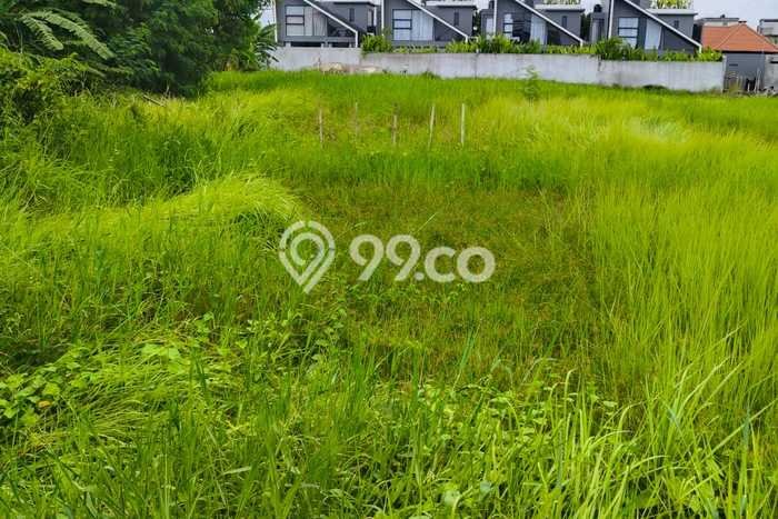 Tanah Disewakan Lokasi Badung Seluas 4400m2 Strategis dan Aman Tanah Disewakan Lokasi Badung Seluas 4400m2 Strategis dan Aman