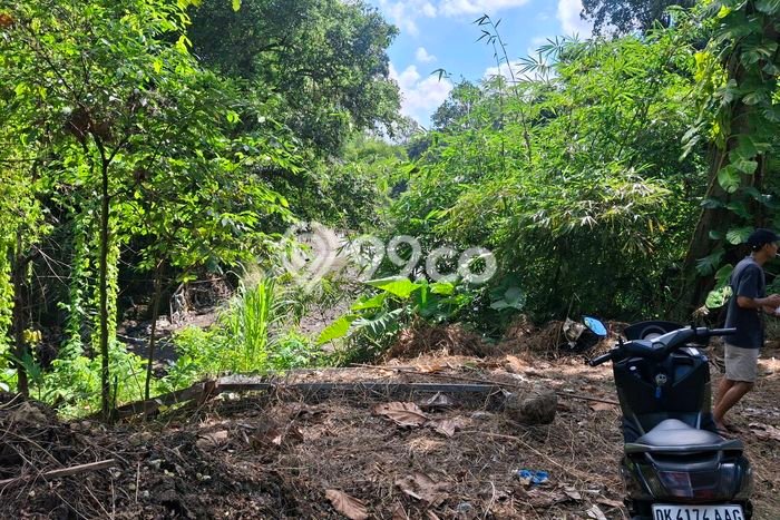Tanah Disewa di Kaba kaba Strategis dan Memiliki Luas 800m2 Tanah Disewa di Kaba kaba Strategis dan Memiliki Luas 800m2