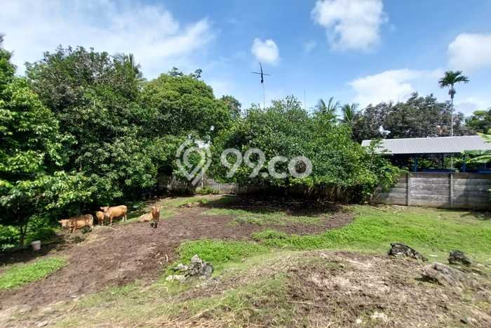 Tanah Dijual Area Strategis di Beraban Tabanan 1750m2 Tanah Dijual Area Strategis di Beraban Tabanan 1750m2