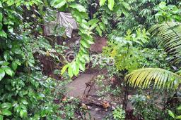Jarang Ada! Tanah Kavling Disewakan di Badung 600m2 Jarang Ada! Tanah Kavling Disewakan di Badung 600m2