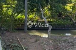 Tanah Disewa Strategis di Tabanan Luas 300m2 Tanah Disewa Strategis di Tabanan Luas 300m2