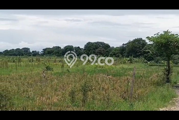 Untuk Disewa Tanah di Badung, Luas 1300m2 Area Berkembang Untuk Disewa Tanah di Badung, Luas 1300m2 Area Berkembang