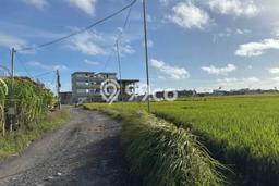 Tanah Disewa di Seseh Strategis dan Memiliki Luas 3400m2 Tanah Disewa di Seseh Strategis dan Memiliki Luas 3400m2
