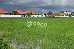 Tanah Disewa Strategis di Badung Luas 400m2 Tanah Disewa Strategis di Badung Luas 400m2