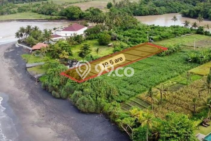 Tanah Disewa di Tibubiyu Strategis dan Memiliki Luas 1900m2 Tanah Disewa di Tibubiyu Strategis dan Memiliki Luas 1900m2