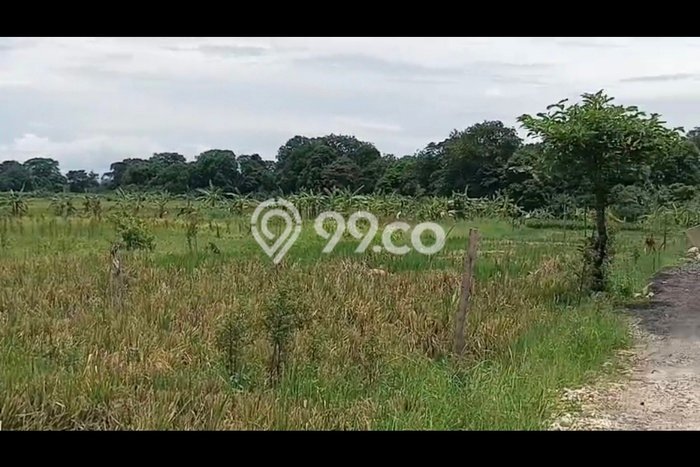 Untuk Disewa Tanah di Badung, Luas 1300m2 Area Berkembang Untuk Disewa Tanah di Badung, Luas 1300m2 Area Berkembang