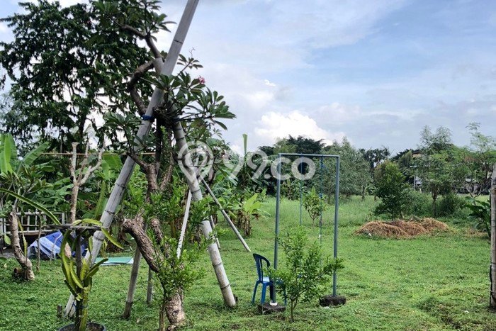 Tanah Disewa di Canggu Strategis dan Memiliki Luas 1000m2 Tanah Disewa di Canggu Strategis dan Memiliki Luas 1000m2