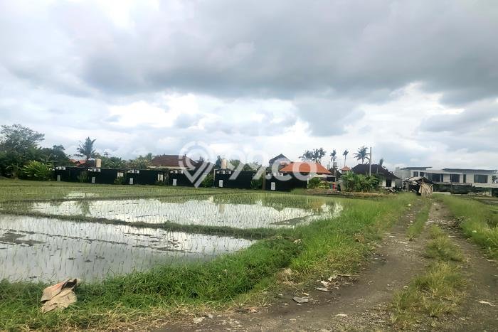 Tanah untuk Disewa di Badung Luas 2000m2 Tanah untuk Disewa di Badung Luas 2000m2