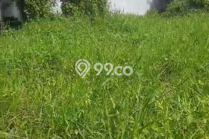 Tanah untuk Disewa di Tabanan Luas 1000m2 Tanah untuk Disewa di Tabanan Luas 1000m2