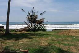 Kavling Tanah di Tabanan Dijual Luas 2000m2 Legalitas SHM Kavling Tanah di Tabanan Dijual Luas 2000m2 Legalitas SHM