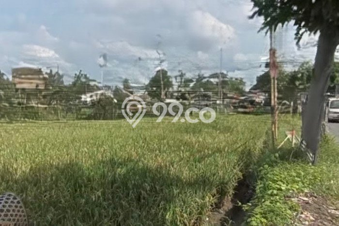 Jarang Ada! Tanah Kavling Disewakan di Badung 2000m2 Jarang Ada! Tanah Kavling Disewakan di Badung 2000m2