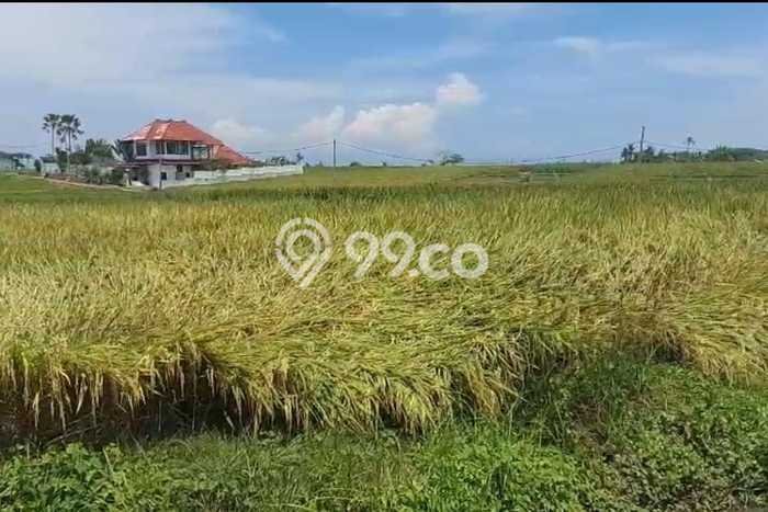 Dijual Tanah di Tabanan, Luas 4000m2 SHM Dijual Tanah di Tabanan, Luas 4000m2 SHM