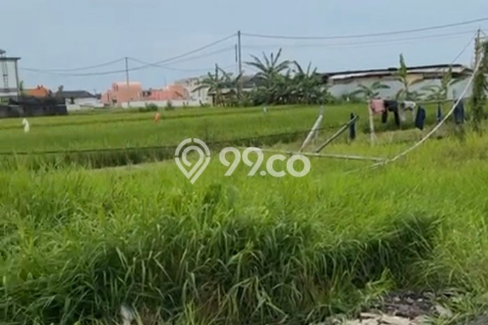 Jarang Ada! Tanah Kavling Disewakan di Badung 275m2 Jarang Ada! Tanah Kavling Disewakan di Badung 275m2