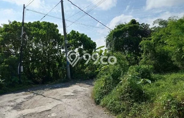 Untuk Disewa Tanah di Cepaka Tabanan Seluas 2500m2 Untuk Disewa Tanah di Cepaka Tabanan Seluas 2500m2