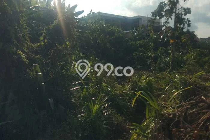 Tanah untuk Disewa di Badung Luas 1200m2 Tanah untuk Disewa di Badung Luas 1200m2