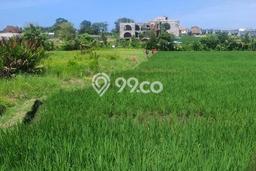 Lahan untuk Disewa di Badung Luas 2000m2 Lahan untuk Disewa di Badung Luas 2000m2