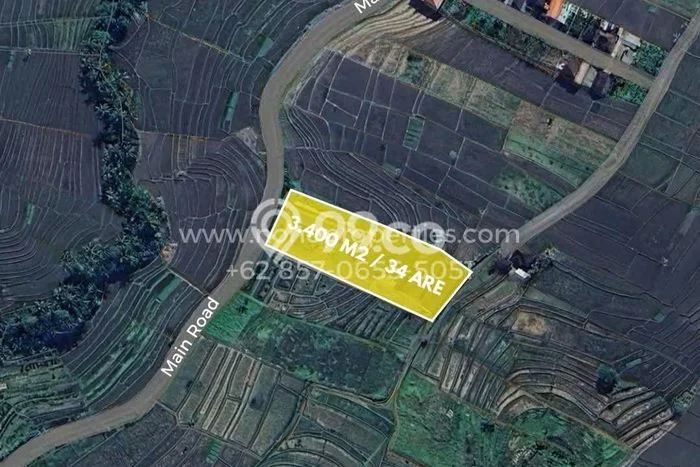 Tanah Disewakan Lokasi Tabanan Seluas 3400m2 Strategis dan Aman Tanah Disewakan Lokasi Tabanan Seluas 3400m2 Strategis dan Aman