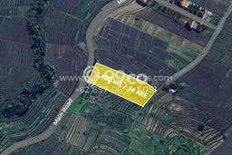 Tanah Disewakan Lokasi Tabanan Seluas 3400m2 Strategis dan Aman Tanah Disewakan Lokasi Tabanan Seluas 3400m2 Strategis dan Aman