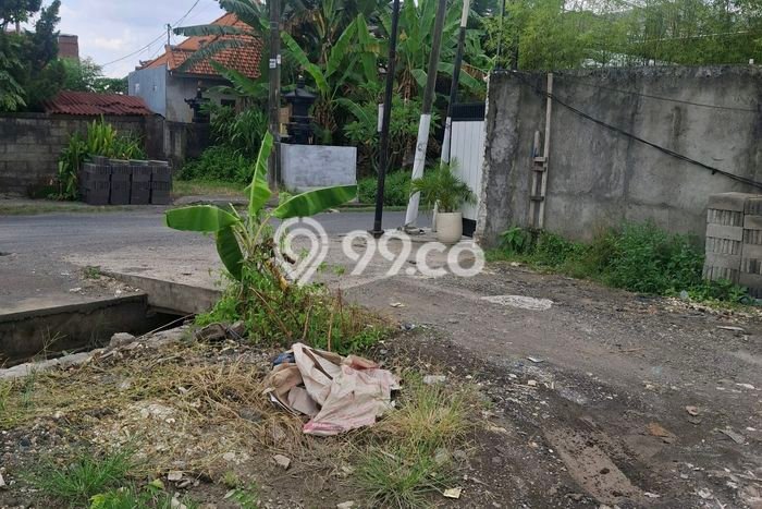 Tanah Disewakan Lokasi Badung Seluas 800m2 Strategis dan Aman Tanah Disewakan Lokasi Badung Seluas 800m2 Strategis dan Aman