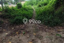 Tanah Disewakan Lokasi Tabanan Seluas 2000m2 Strategis dan Aman Tanah Disewakan Lokasi Tabanan Seluas 2000m2 Strategis dan Aman