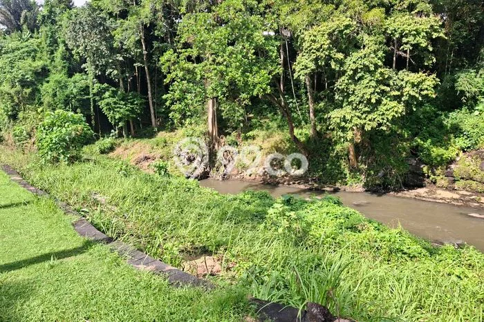 Untuk Disewa Tanah di Tabanan, Luas 24600m2 Area Berkembang Untuk Disewa Tanah di Tabanan, Luas 24600m2 Area Berkembang