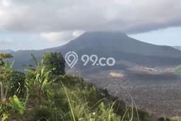 Jarang Ada! Tanah di Kintamani Punya Luas 5500m2 SHM Jarang Ada! Tanah di Kintamani Punya Luas 5500m2 SHM