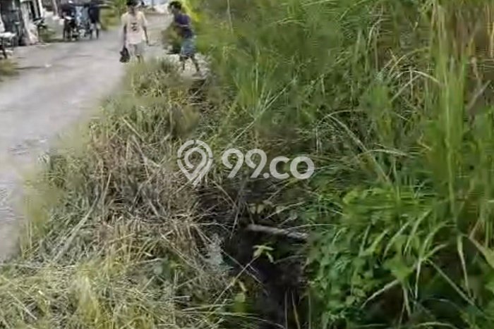 Jarang Ada! Tanah Kavling Disewakan di Badung 600m2 Jarang Ada! Tanah Kavling Disewakan di Badung 600m2