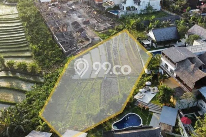 Tanah Disewakan Lokasi Badung Seluas 1000m2 Strategis dan Aman Tanah Disewakan Lokasi Badung Seluas 1000m2 Strategis dan Aman
