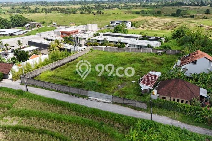 Lahan Disewakan Lokasi Kaba kaba Tabanan Luas 2500m2 Lahan Disewakan Lokasi Kaba kaba Tabanan Luas 2500m2