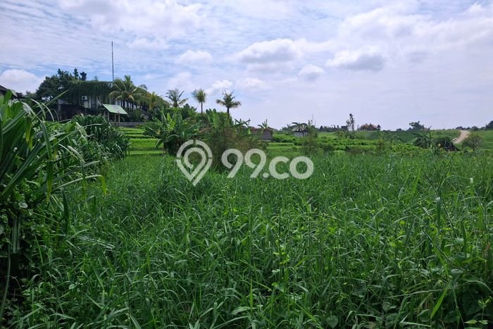 Tanah untuk Disewa di Badung Luas 500m2 Tanah untuk Disewa di Badung Luas 500m2