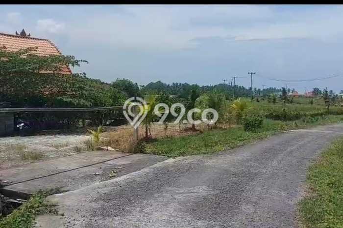 Dijual Tanah di Tabanan, Luas 4000m2 SHM Dijual Tanah di Tabanan, Luas 4000m2 SHM