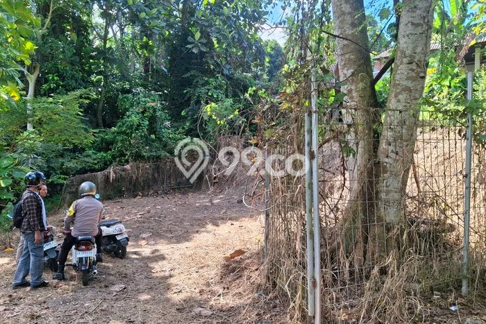 Tanah Disewa di Kaba kaba Strategis dan Memiliki Luas 800m2 Tanah Disewa di Kaba kaba Strategis dan Memiliki Luas 800m2