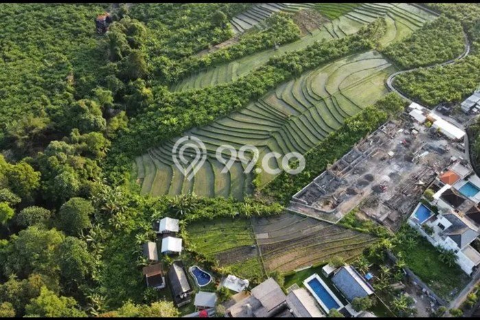 Tanah Disewakan Lokasi Badung Seluas 3900m2 Strategis dan Aman Tanah Disewakan Lokasi Badung Seluas 3900m2 Strategis dan Aman