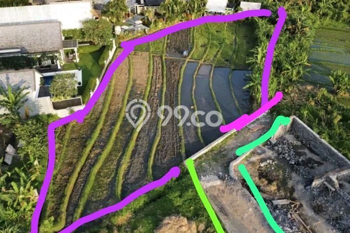 Tanah Disewakan Lokasi Tumbak Bayuh Badung Luas 1000m2 Tanah Disewakan Lokasi Tumbak Bayuh Badung Luas 1000m2