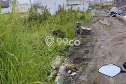 Jarang Ada! Tanah Kavling Disewakan di Badung 600m2 Jarang Ada! Tanah Kavling Disewakan di Badung 600m2