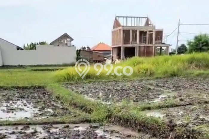 Tanah untuk Disewa di Badung Luas 1500m2 Tanah untuk Disewa di Badung Luas 1500m2