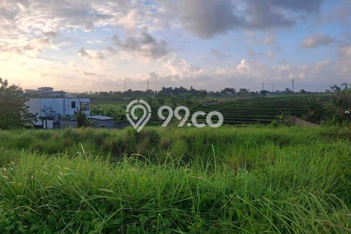 Untuk Disewa Tanah di Kaba kaba Tabanan Seluas 1200m2 Untuk Disewa Tanah di Kaba kaba Tabanan Seluas 1200m2