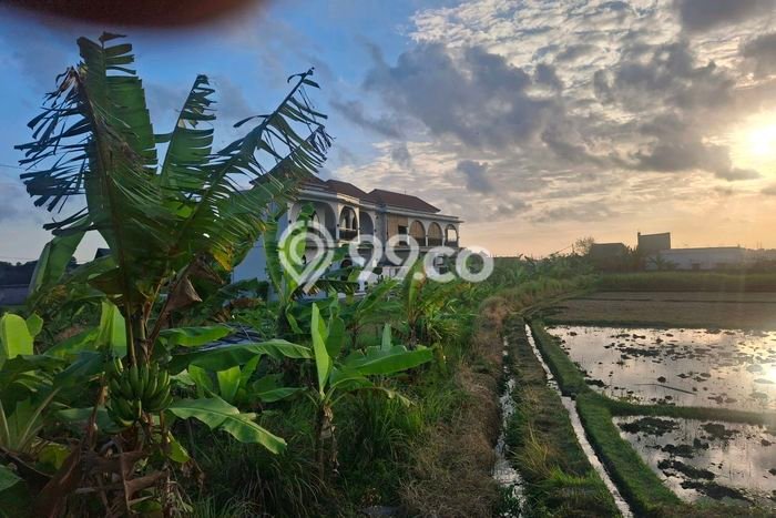 Untuk Disewa Tanah di Kaba kaba Tabanan Seluas 1200m2 Untuk Disewa Tanah di Kaba kaba Tabanan Seluas 1200m2