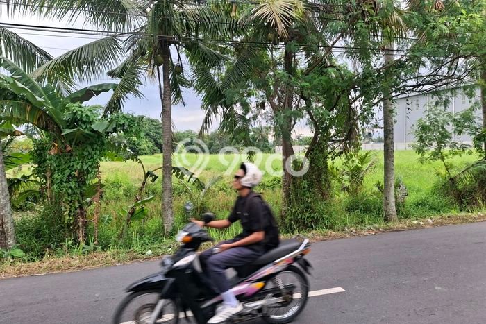Kavling Tanah untuk Disewa di Kaba kaba Lahan Luas 2000m2 Kavling Tanah untuk Disewa di Kaba kaba Lahan Luas 2000m2