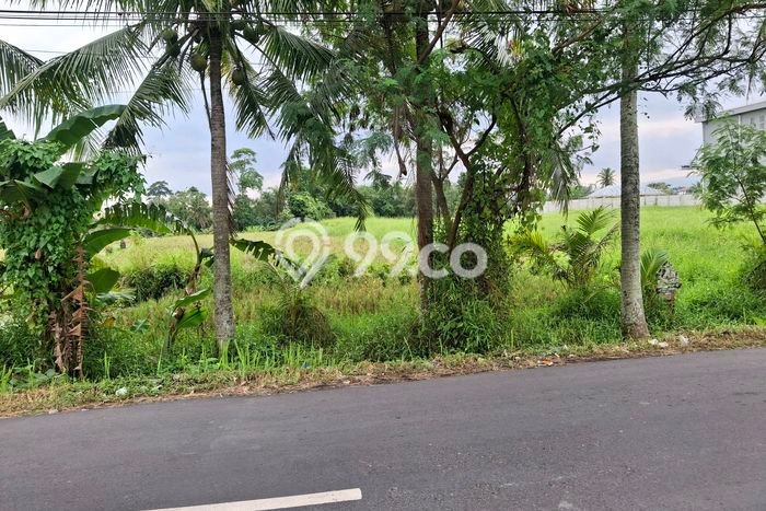 Kavling Tanah untuk Disewa di Kaba kaba Lahan Luas 2000m2 Kavling Tanah untuk Disewa di Kaba kaba Lahan Luas 2000m2