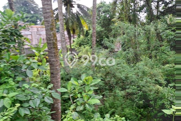 Tanah Disewa Strategis di Tabanan Luas 2000m2 Tanah Disewa Strategis di Tabanan Luas 2000m2
