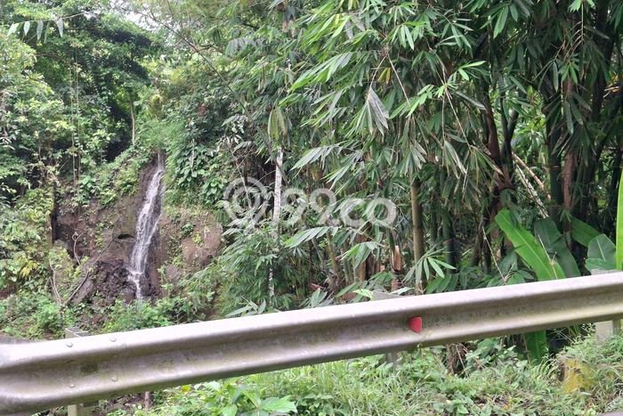 Tanah Disewa Strategis di Tabanan Luas 2000m2 Tanah Disewa Strategis di Tabanan Luas 2000m2