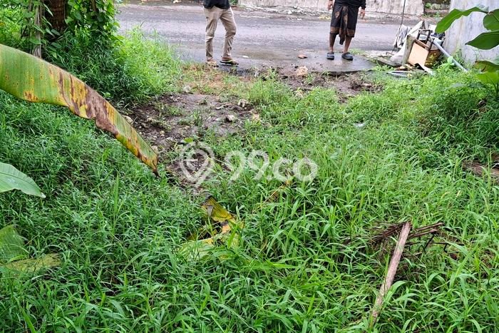 Disewakan Tanah di Kaba kaba Tabanan Seluas 500m2 Disewakan Tanah di Kaba kaba Tabanan Seluas 500m2