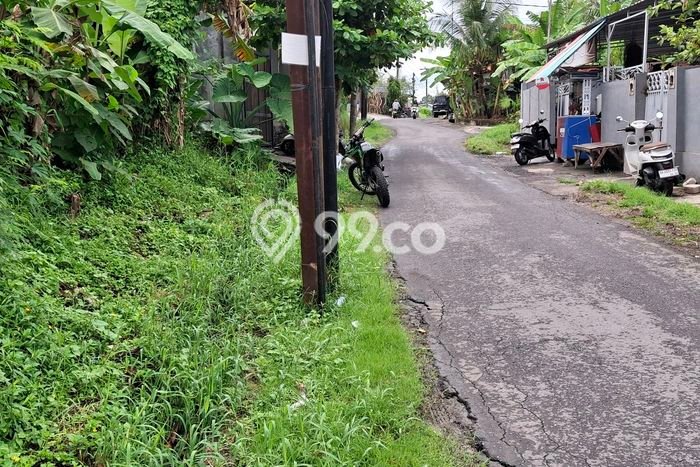 Disewakan Tanah di Kaba kaba Tabanan Seluas 500m2 Disewakan Tanah di Kaba kaba Tabanan Seluas 500m2