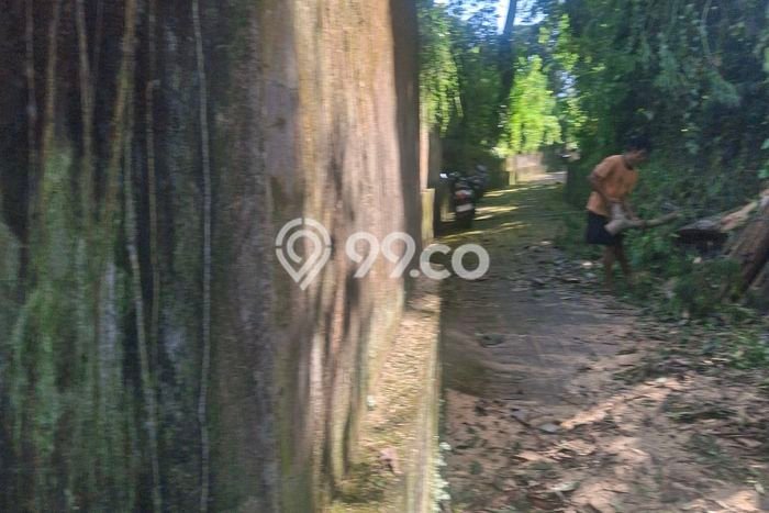 Tanah Disewakan Lokasi Tabanan Seluas 1000m2 Strategis dan Aman Tanah Disewakan Lokasi Tabanan Seluas 1000m2 Strategis dan Aman