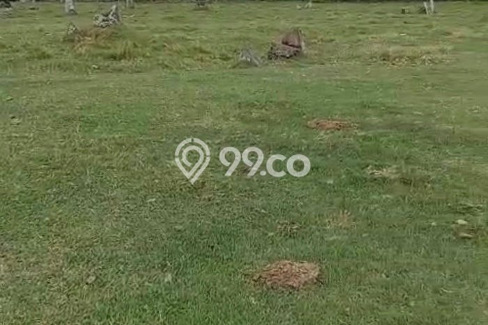 Tanah Dijual di Tabanan Seluas 16000m2 Strategis Tanah Dijual di Tabanan Seluas 16000m2 Strategis