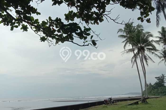 Tanah Dijual di Tabanan Seluas 16000m2 Strategis Tanah Dijual di Tabanan Seluas 16000m2 Strategis